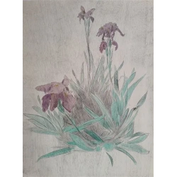 iris
