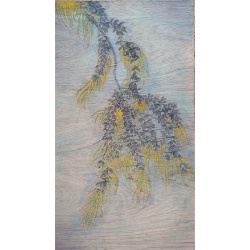 signal-2026-02-27-172137