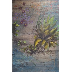 signal-2026-02-27-172137_003