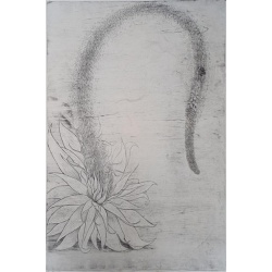 signal-2026-02-27-172137_008