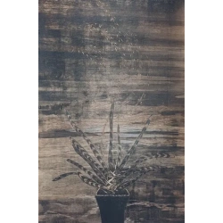 world_in_backyard_-_board_389507073