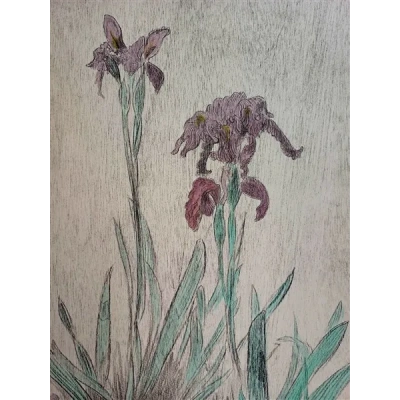 iris_detail_1