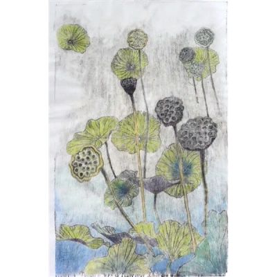 lotus_pond_1_701582701