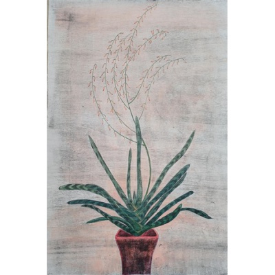 signal-2026-02-27-172137_006